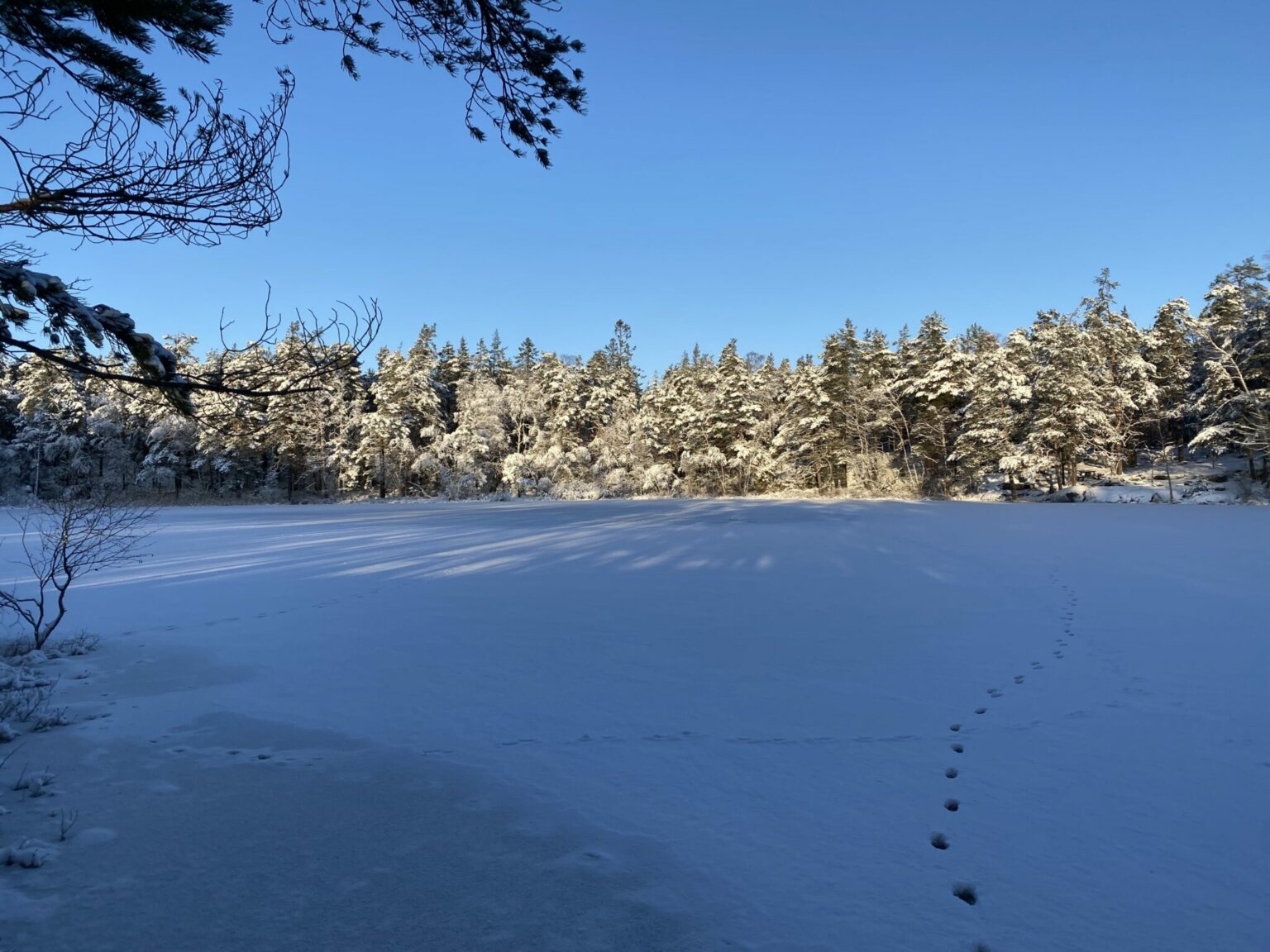 Vinterbad Och Umgänge I Stockholm - Det Fria Sverige